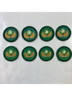 Girl Scouts Junior World of Outdoos Dabbler Badge Patches Lot 8